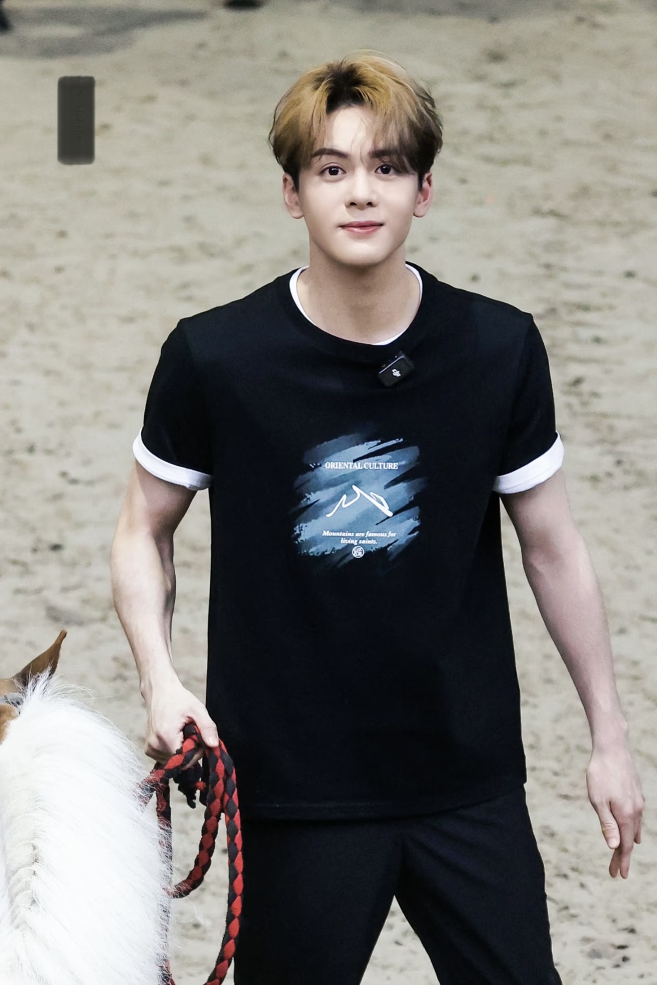 曾舜晞、陈哲远穿搭指南：清爽又夏天，不费力的少年感