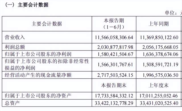 海澜之家2025上半年营收115亿元，多品牌战略巩固男装领导地位