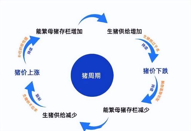 把养猪玩成科技活，牧原股份10年间利润翻了200倍！