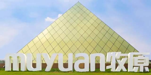 把养猪玩成科技活,牧原股份10年间利润翻了200倍!