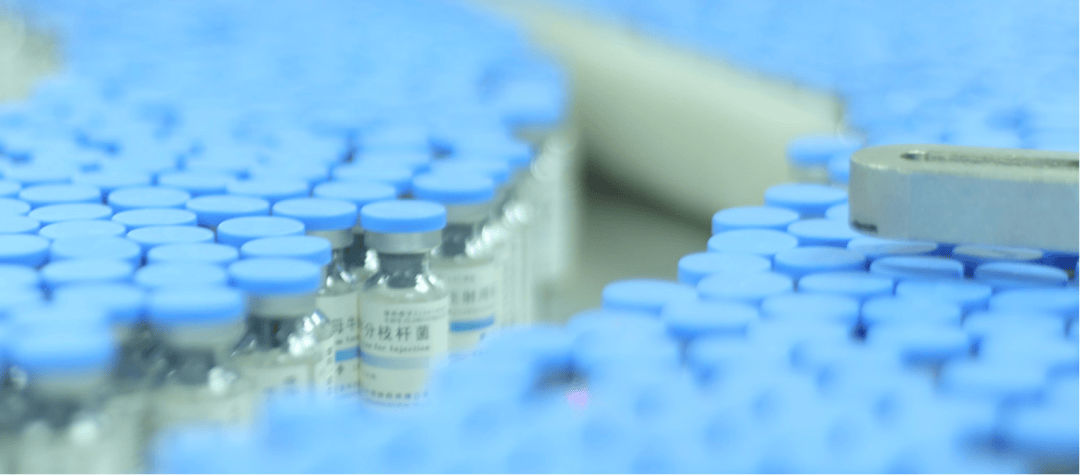 “疫苗代理之王”智飞生物增长失速：上半年净亏损5.97亿元，超百亿元应收账款高悬