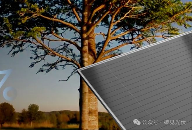 三大业务毛利率全线失守，晶科能源上半年巨亏29亿