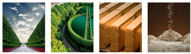 舍得酒业业绩增长失速：核心业务毛利下滑，库存高企仍逆势扩产